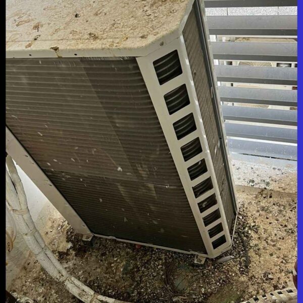 צואת יונים במסתור כביסה בקריות