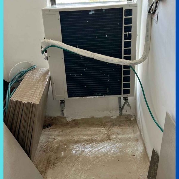 צואת יונים במסתור כביסה בקרית מוצקין